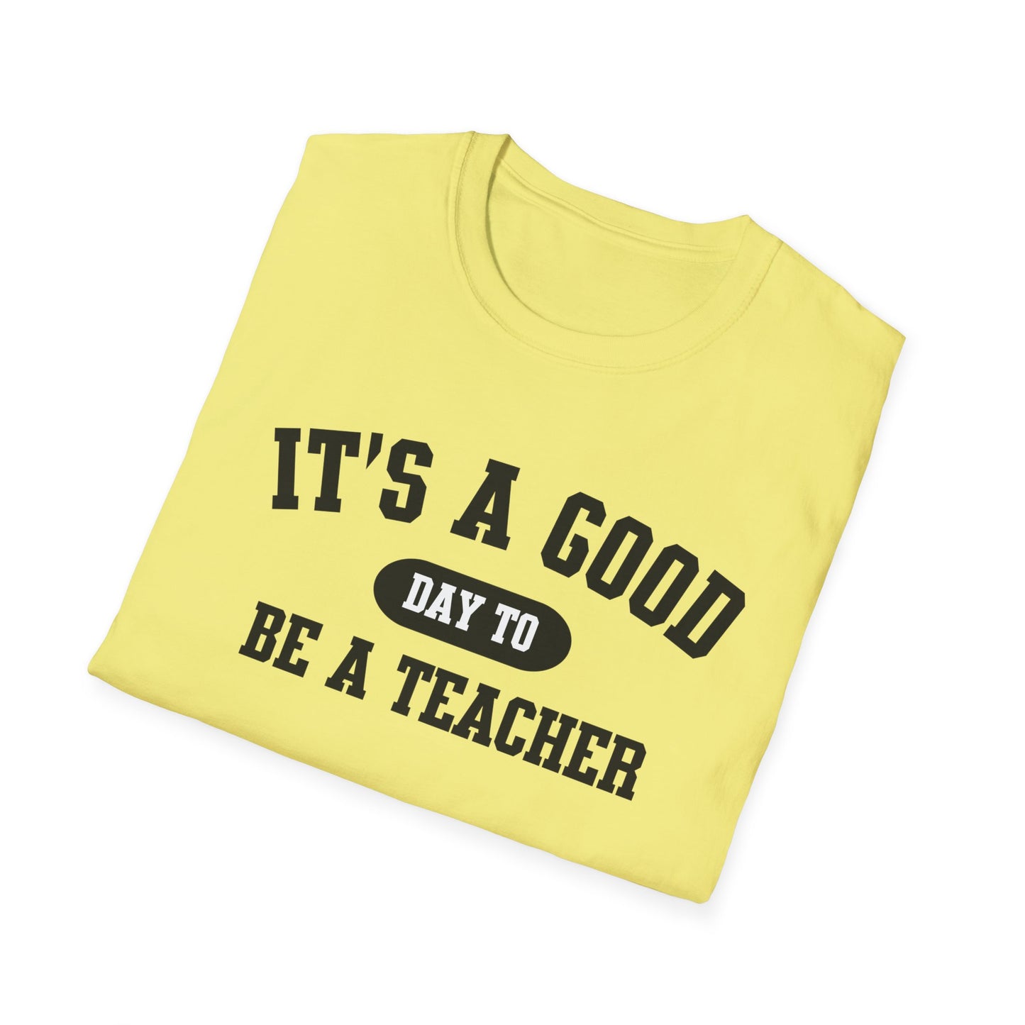Teacher Appreciation Shirt, Educator Gift, Teaching Tee, School Staff Outfit, Teacher Shirt for Men Women