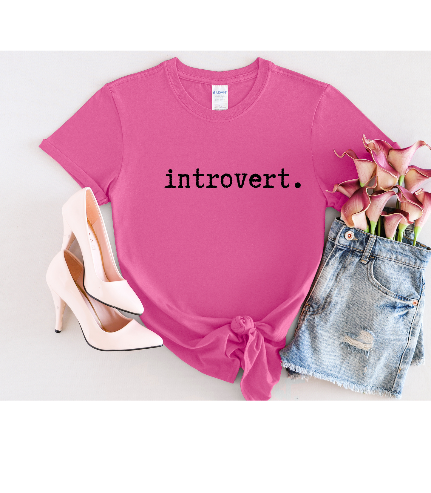 Introvert Unisex Softstyle T-Shirt, Minimalist tee, minimalist fashion, Simple message t-shirt, gift for him, gift for her, message tee