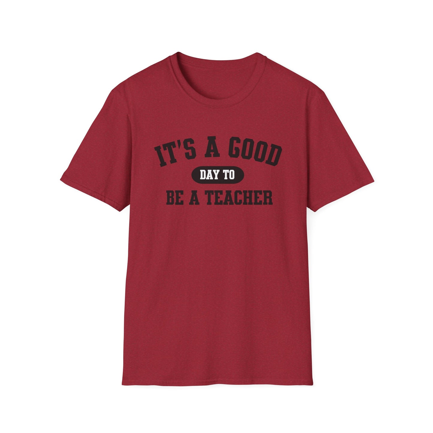 Teacher Appreciation Shirt, Educator Gift, Teaching Tee, School Staff Outfit, Teacher Shirt for Men Women